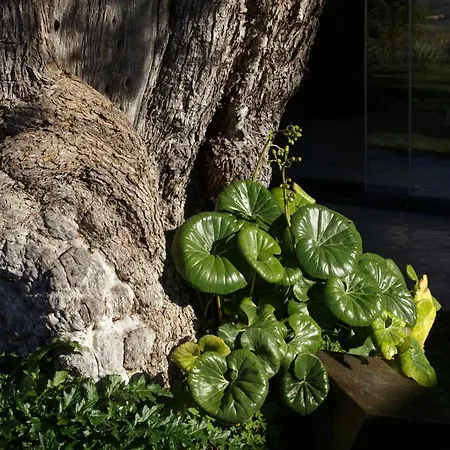 Διαμέρισμα Buahjar Boutique