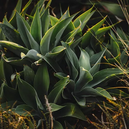 Buahjar Boutique * Αγκριτζέντο