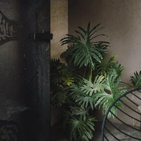 Διαμέρισμα Buahjar Boutique Αγκριτζέντο