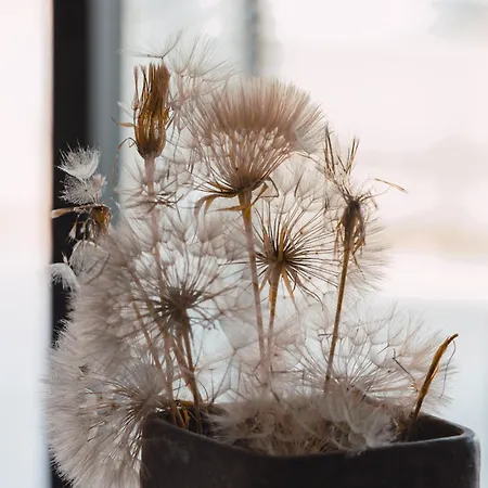 Διαμέρισμα Buahjar Boutique Αγκριτζέντο