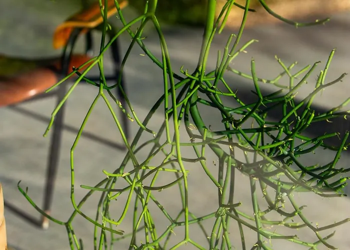 Apartment Buahjar Boutique Agrigento