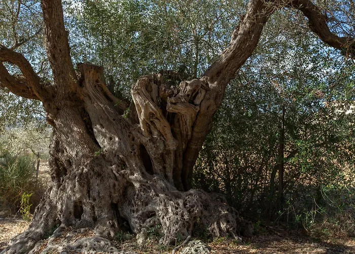 Διαμέρισμα Buahjar Boutique Αγκριτζέντο