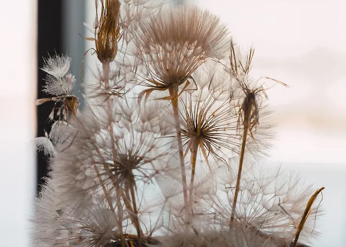 Apartment Buahjar Boutique Agrigento