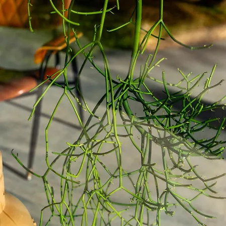 Apartment Buahjar Boutique Agrigento