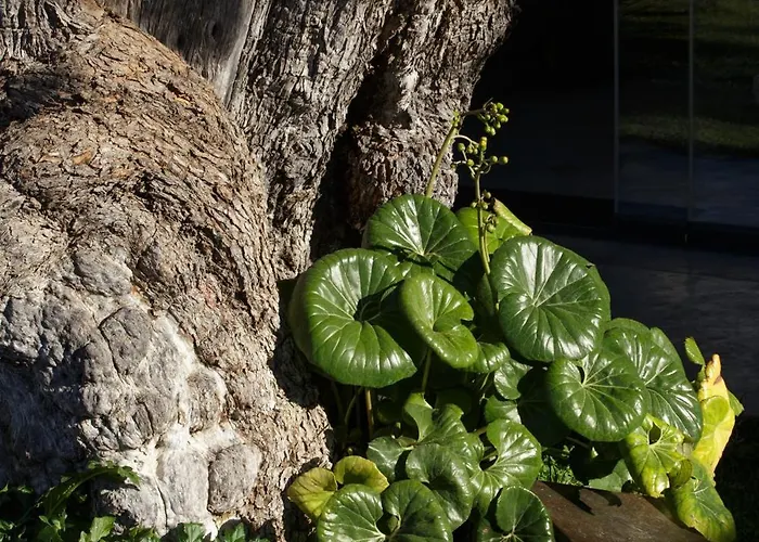 Appartement Buahjar Boutique