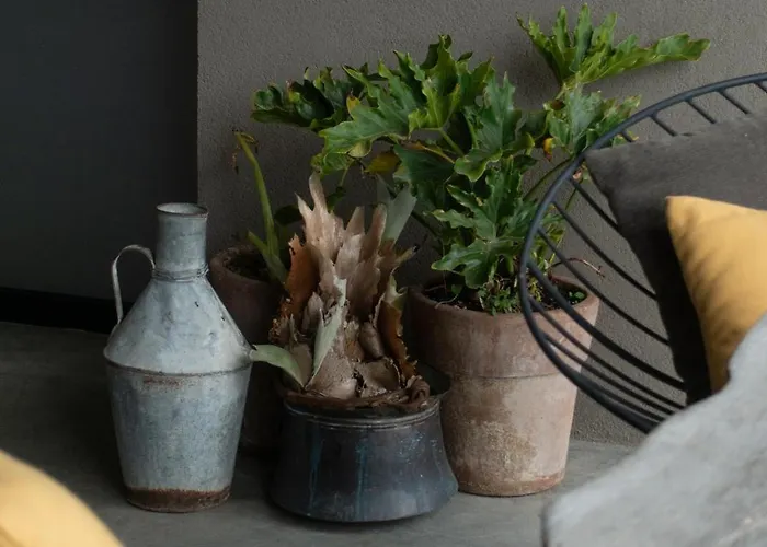 Buahjar Boutique Апартаменты Агридженто